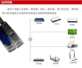3米超五類非屏蔽軟跳線 穩(wěn)定連接，極速體驗(yàn)